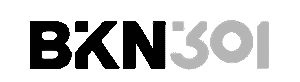 bkn301-logo-rsm-transp